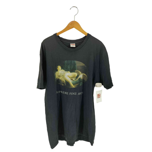 シュプリーム Supreme 19SS Leda And The Swan Tee メンズ L