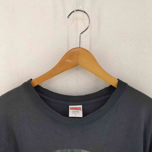 シュプリーム Supreme 19SS Leda And The Swan Tee メンズ L