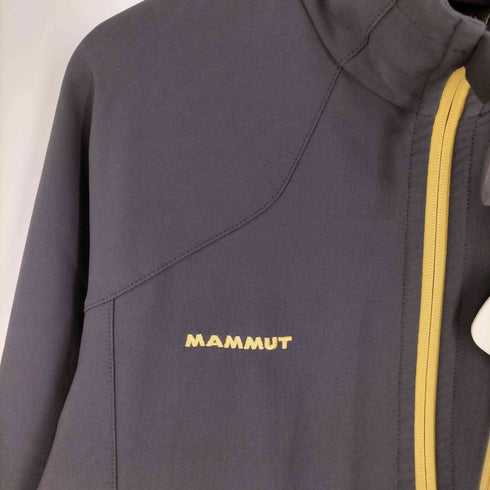 マムート MAMMUT 150周年記念 PERTEK EQUILIBRIUM ジャケット メンズ import:L