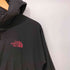 ザノースフェイス THE NORTH FACE SWALLOWTAIL HOODIE ナイロン パーカー メンズ import:M