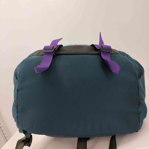 パタゴニア patagonia 13年製 Refugio Backpack レフュジオ バックパック メンズ