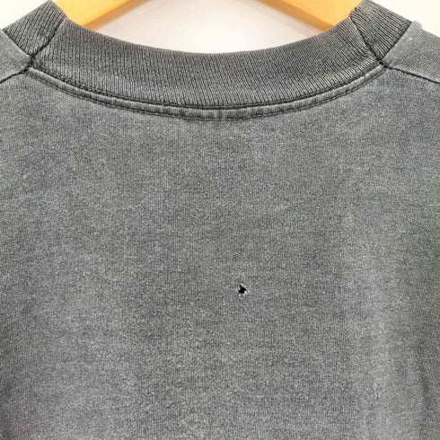 フルーツオブザルーム FRUIT OF THE LOOM 90s シングルステッチ Country Comfort TOUR プリント Tシャツ メンズ import:L
