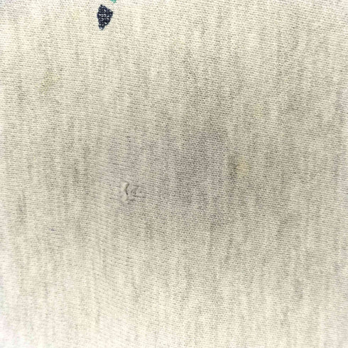 チャンピオン Champion トリコ後期 reverse weave STONE HARBOR 両面ラバープリント スウェット メンズ import:XXL