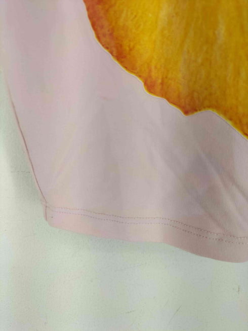 ザラ ZARA 花プリント s/s Tシャツ レディース import:M