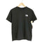 ザノースフェイス THE NORTH FACE ヒストリカルロゴ S/S シャツ メンズ import:S