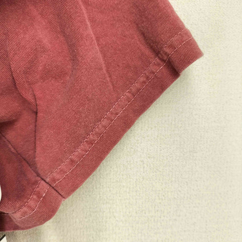 バビロン BABYLONE PARROTT CANVAS 〈別注〉ロゴプリント バイキングスTシャツ レディース