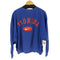 ナイキ NIKE 90-00s TEAMタグ カレッジ刺繍スウェットプルオーバー メンズ JPN:XL