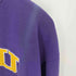 ナイキ NIKE 90-00s TEAMタグ カレッジ刺繍スウェットプルオーバー メンズ JPN:XL