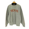ナイキ NIKE 90-00s TEAMタグ カレッジ刺繍スウェットプルオーバー メンズ JPN:XL