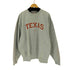 ナイキ NIKE 90-00s TEAMタグ カレッジ刺繍スウェットプルオーバー メンズ JPN:XL