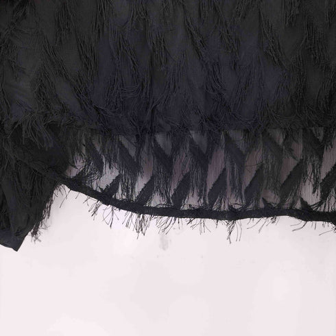 ザラ ZARA フリンジシアートップス レディース import:S