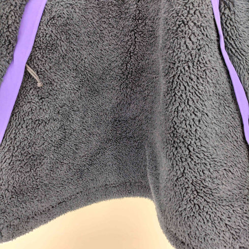 ザノースフェイス THE NORTH FACE 18AW CAMPSHIRE PULLOVER ボア フリース プルオーバー メンズ import:L