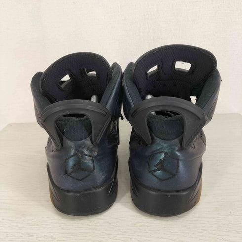 ジョーダンブランド JORDAN BRAND Air Jordan 6 Retro All Star 2017 Chameleon メンズ JPN:27