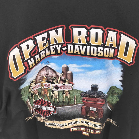 ハーレーダビッドソン HARLEY-DAVIDSON 両面プリント Tシャツ メンズ XL