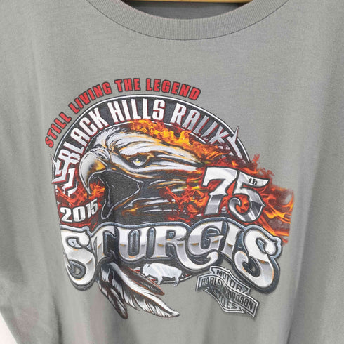 ハーレーダビッドソン HARLEY-DAVIDSON 両面プリント Tシャツ メンズ