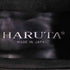 ハルタ HARUTA レザーヒールローファー レディース JPN:22.5