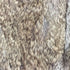 fur vest ファーベスト レディース