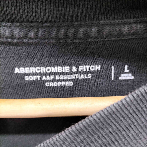 アバクロンビーアンドフィッチ Abercrombie & Fitch LOLLAPALOOZA Tシャツ メンズ import:L