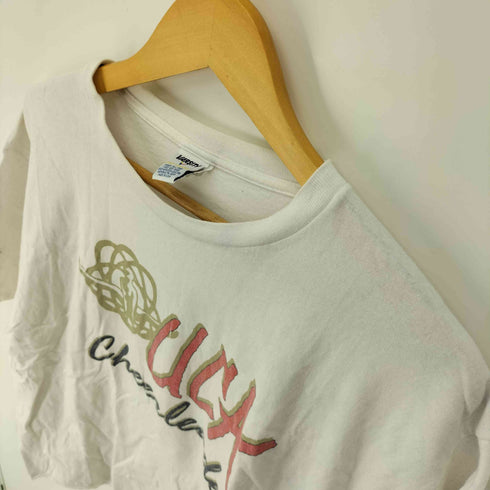 VARSITY 90S USA製 シングルステッチ プリントクルーネックTシャツ メンズ import:L