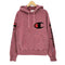 チャンピオン Champion 00s reverse weave スリーブプリント ロゴ刺繍 パーカー メンズ import:S