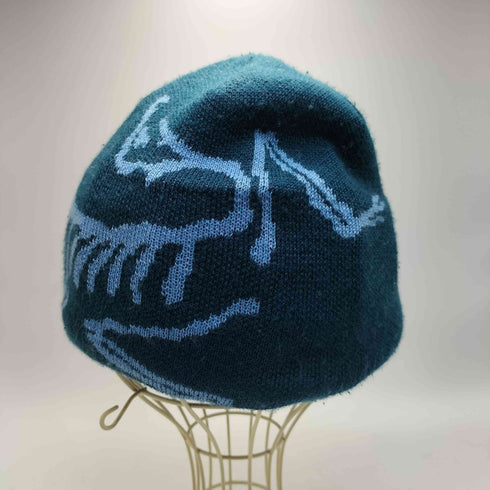 アークテリクス ARCTERYX BIRD HEAD TOQUE バード ヘッド トーク ロゴデザイン ニット キャップ メンズ 58