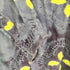 ステューシー Stussy 総柄 L/S レーヨン開襟シャツ メンズ import:M
