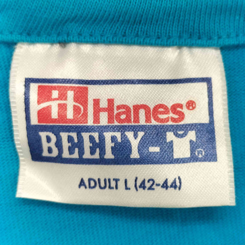 ヘインズ Hanes シングルステッチ 両面プリントTシャツ メンズ import:L