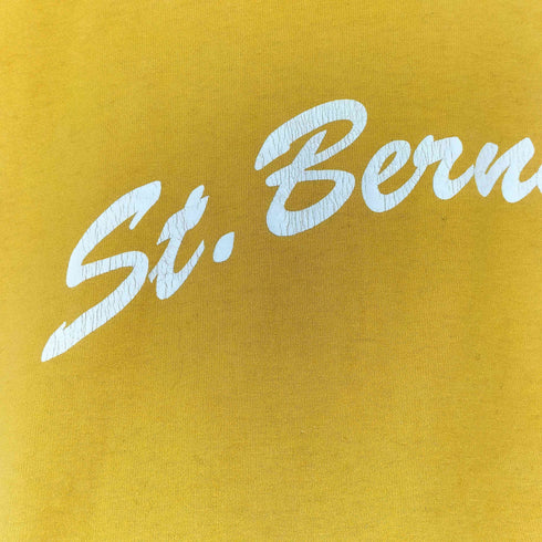 ヘインズ Hanes 両面プリント クルネック S/S Tシャツ メンズ import:M