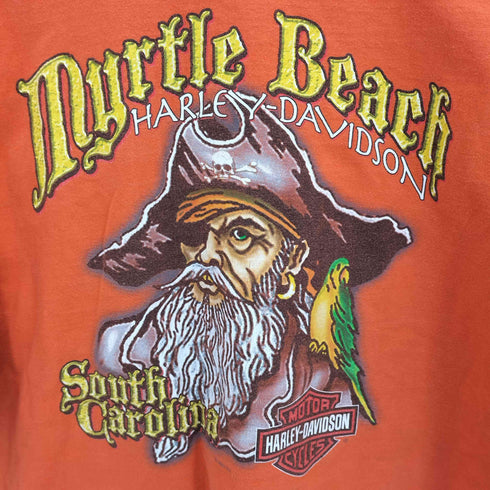 ハーレーダビッドソン HARLEY-DAVIDSON 背面プリント 半袖クルーネックTシャツ メンズ