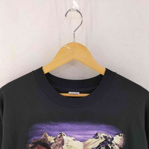 フルーツオブザルーム FRUIT OF THE LOOM 1993 USA製 ホースプリントTシャツ メンズ XL