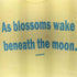 メゾンスペシャル MAISON SPECIAL THE MOON T-shirt ザ・ムーンTシャツ レディース FREE