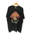 フルーツオブザルーム FRUIT OF THE LOOM 90S USA製 シングルステッチ アメリフト カレッジプリント Tシャツ メンズ import:XXL
