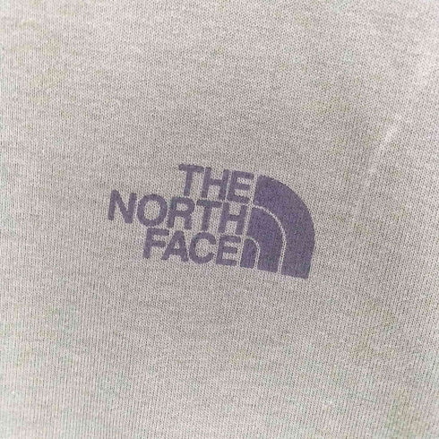 ザノースフェイス THE NORTH FACE S/S TNF Lightning Tee メンズ JPN:L