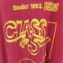 ヘインズ Hanes 90S USA製 同窓会プリントTシャツ メンズ XL