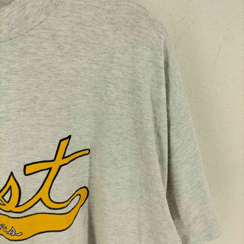 フルーツオブザルーム FRUIT OF THE LOOM 90S USA製 カレッジロゴプリントTシャツ メンズ XL