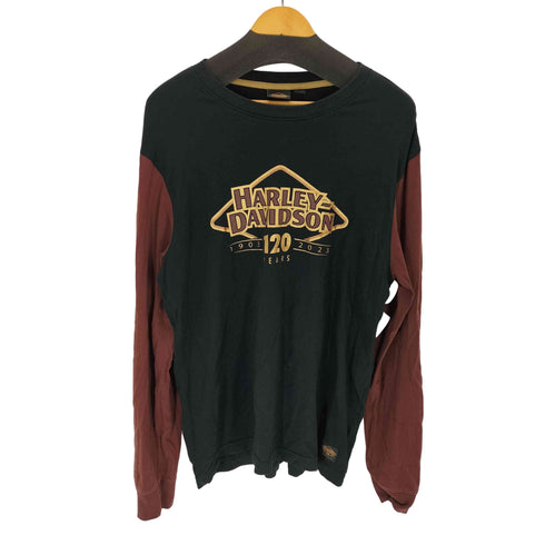 ハーレーダビッドソン HARLEY-DAVIDSON 120周年記念カラーブロックTシャツ メンズ JPN:L