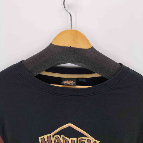 ハーレーダビッドソン HARLEY-DAVIDSON 120周年記念カラーブロックTシャツ メンズ JPN:L