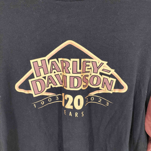 ハーレーダビッドソン HARLEY-DAVIDSON 120周年記念カラーブロックTシャツ メンズ JPN:L