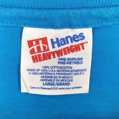 ヘインズ Hanes 90S USA製 クルーズ船 スーベニア シングルステッチ プリント Tシャツ メンズ import:L