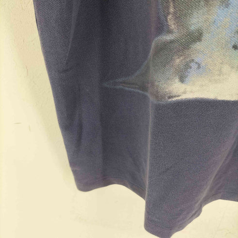 ポロバイラルフローレン Polo by RALPH LAUREN 90S カジキ プリントTシャツ メンズ L