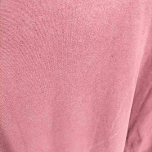 ステューシー Stussy 90S USA製 白タグ 犬 プリントTシャツ メンズ M