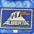 アルベルタフェレッティ ALBERTA FERRETTI ナイロン ダウンベスト メンズ import:S