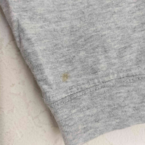 クイックシルバー Quiksilver プリント Tシャツ メンズ import:M