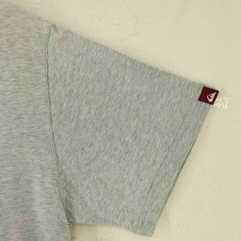 クイックシルバー Quiksilver ロゴ プリント Tシャツ メンズ import:M
