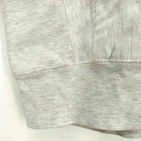 チャンピオン Champion 00s REVERSE WEAVE カレッジロゴ 3段 プルオーバーパーカー メンズ import:M