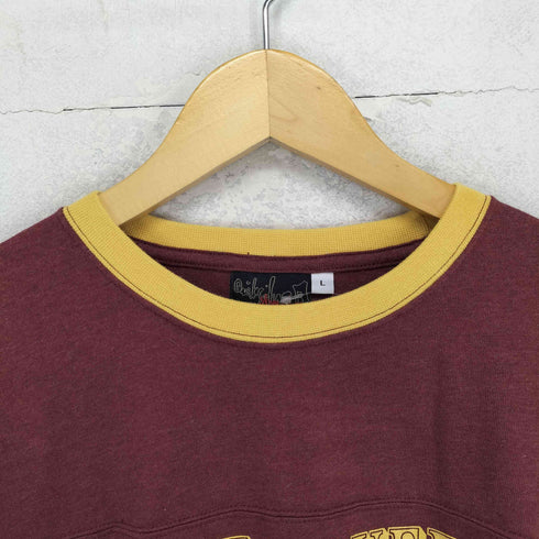 クイックシルバー Quiksilver フロントロゴプリントリンガーTシャツ メンズ JPN:L