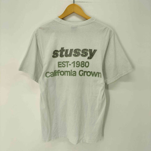 ステューシー Stussy STUSSY CALIFORNIA GROWN PIG.DYED TEE メンズ import:S