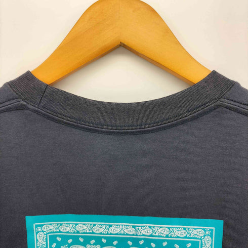ザノースフェイス THE NORTH FACE S/S BANDANA SQUARE LOGO TEE ペイズリー柄 バックプリント クルーネック S/S Tシャツ メンズ import:M