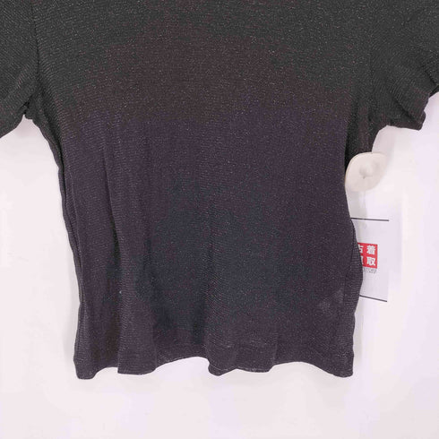 グリーンレーベルリラクシング GREEN LABEL RELAXING シアー ラメ チュール Tシャツ レディース FREE