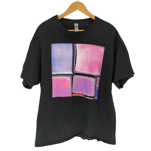 ギルダン GILDAN フォトグラファー企画 グラフィックプリント S/S クルーネック Tシャツ メンズ import:XL